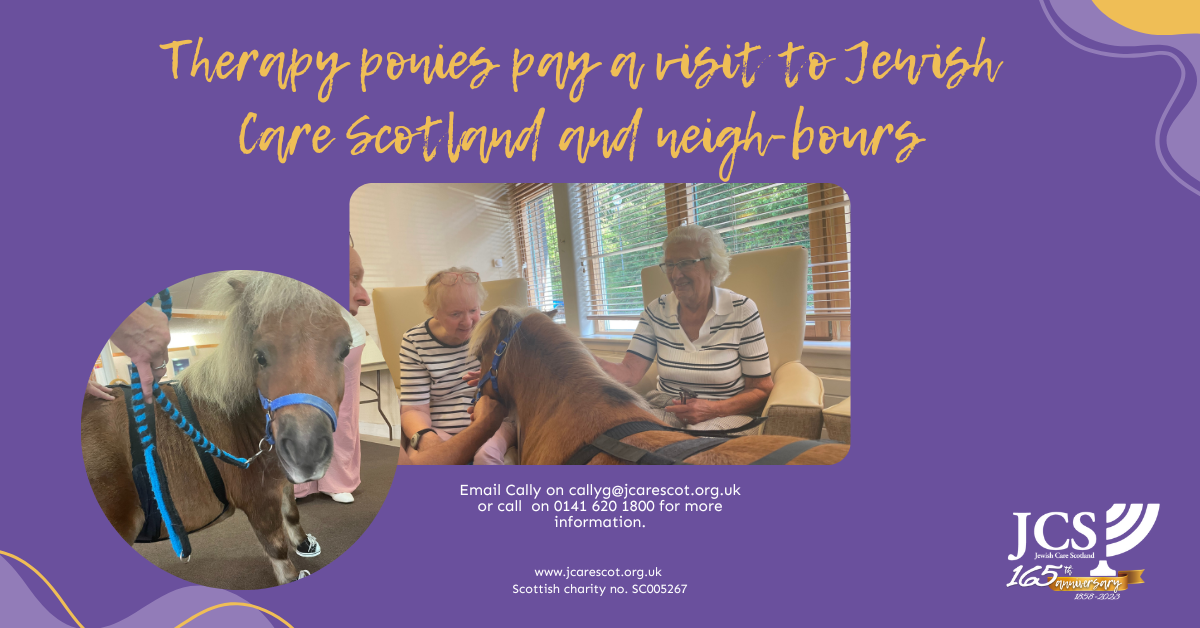 Therapy ponies pay a visit to Jewish Care Scotland and neigh-bours